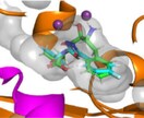 インシリコ創薬研究伴走を論文化まで実施します 初めてプログラミングを行う方でもわかりやすくサポートします！ イメージ1