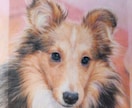 あなたのペットの写真から絵を描きます ペットの絵をプラバンに描きレジンでツヤツヤの作品にします イメージ5