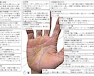 4,000円で隅々まで手相をみます ボリュームたっぷりの画像解説付きです。 イメージ2