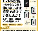 TikTok運用を企画・投稿設計改善サポートします TikTok動画12本＋設計伴走｜少数精鋭で長期支援します イメージ3