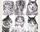 お家の猫ちゃんわんちゃん鉛筆で描きます 【現在170枚】原画＋画像データお届け！ イメージ5