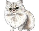 ペット・動物のイラスト作成します 毛並みや模様の特徴を捉えてペットをイラストにします。 イメージ1