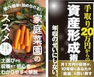 書籍装丁・雑誌レイアウトのプロが提供いたします あなたの本を『素人本』で終わらせません！ イメージ2