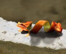 あなたの望む合成写真作ってみせます 心霊写真やおもしろ写真作ってみませんか？ イメージ4
