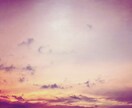 自然を感じられる写真を撮ります 幸せが広がる、笑顔があふれる気持ちになりますように イメージ10