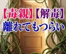 毒親から離れても辛いあなたへ。解毒中の私が聴きます 【本来の自分を思い出すための、心のデトックスルーム】 イメージ1