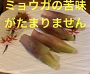 5分でもOK! 優しいマスターがお話しお聞きします 飲んでお話ししましょう！飲まない方も大歓迎！ イメージ6