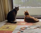 不安、不満、ストレス、愚痴、何でも聞きます 心に溜まったもの、私に話してみてくだ楽になりましょう～ イメージ1