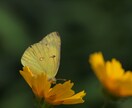 なんとなく不安なひとりの時間を埋めます 【心のデトックスライン】孤独に潰されそうでたまらないあなたへ イメージ9