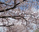 どんなことでもお話しお伺いします 一緒に解決できるように頑張って行けたらいいな イメージ1