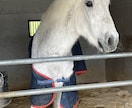 誰にも話せない性のお悩みお聞きします 吐き出してスッキリしてもらうと嬉しいです！ イメージ2
