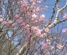 経営者、社長さま。お話聞きます 悩みの尽きない会社経営。たまには愚痴もこぼしたい。お話下さい イメージ3