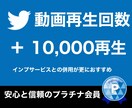 Twitterの動画再生回数を増やします 多くの方からご希望をお寄せ頂き、リリース決定！ イメージ1