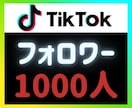 TikTokフォロワー増やします ⭐フォロワー1000人～増加します イメージ1