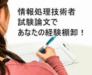 情報処理技術者試験（PM・SA）論文添削します 自分の経験で大丈夫？と不安な方に！あなたの経験引き出します！ イメージ1