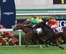 競馬好きが牧場で働けるようにアドバイスします 「チャット版」質問10個！　電話が苦手な方へ イメージ3