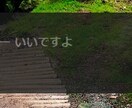 リアルタイム学習型字幕システムを提供します 会話理解・聴覚処理に負荷を感じやすい人のサポートツールです イメージ1