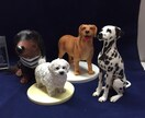犬猫の写真で3ｄフィギュア的画像つくります 人物・建物・ペットを3Dにしちゃいます（笑） イメージ1