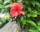 短時間でも☘️…愚痴、悩み聞きます 一人でため込まずに吐き出してみませんか？子育て、恋愛、結婚 イメージ3