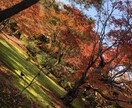 風景画や俳句にお役立ち！京都の絶景をお届けします ご希望の季節、天気、時間に合わせた写真/動画をお送りします！ イメージ3