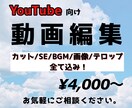 あなたのイメージに合った動画編集致します 高品質・要望重視な編集を心掛けています♪ イメージ1