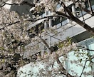 夫や姑の愚痴、誰にも言えないお話お聞き致します 午前中家事の合間にチャットしながらストレス発散しませんか？ イメージ1