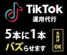 集客のプロがTikTok20日間運用します 数十万再生連発！完全丸投げOKでショート動画初心者の方歓迎 イメージ1