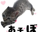 ペット写真からLINEスタンプ16個セット作ります ☆大切なペットをオリジナルLINEスタンプに イメージ7