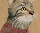 ペット、動物のイラストを色鉛筆で描きます リアルな動物画を色鉛筆で描きます イメージ3