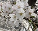 摂食障害、食べたい欲まぎらわさせます 篭って隠れ食い、お腹が叩かれそうな程食べるより、お話しよう♡ イメージ1