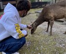 愚痴、相談、恋愛相談、電話で力になります 僕が全力で頑張らせてもらいます！！全て吐き出そう！！ イメージ3