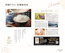 マーケ視点でターゲットに「伝わる」チラシを作ります 頂いた原稿からマーケ視点でアドバイスします。 イメージ3