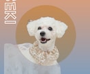 我が子(ペット)の名刺を作ります 我が子名刺(犬猫鳥ハム等)をお作りします！ イメージ2
