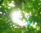 いじめで悩んでませんか？寄り添ってお聞きします 偏見、差別など1人で抱え込まず一緒に解決の糸口を探りましょう イメージ4