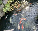 悩みや誰にも言えない愚痴何でも聞きます トークでお話なんでも聞かせていただきます！！3日間限定です イメージ1