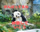 あなたの【新生活】応援します まったりお話し◎否定はしません。優しく聞きます～ イメージ1