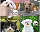 ペットの写真を可愛いドット絵にします うちの子がゲーム風に?!アイコンやスタンプにも使える! イメージ2