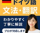 ドイツ語・英語の文法解説／文章添削します 初心者にもわかりやすい文法解説！丁寧に解説いたします。 イメージ1