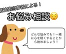 悩み相談受けつけます 精神病当事者によるお悩み相談！ イメージ1