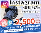 手作業でInstagramの更新を行います 価値のある誠実なアカウント運用を行います イメージ1