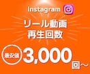 インスタリール動画再生回数+3000回～増やします ⭐️振り分け対応・振り分けも可能・高速・最安値・インスタ⭐️ イメージ1