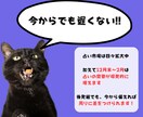 初心者でも始められるココナラ占い攻略教えます 経験、知識、実績ゼロでも「選ばれる占い師」になれる教科書 イメージ7