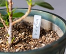 植物用ネームプレート・名札をつくります 色や形がえらべる！オリジナルデザインも対応可 イメージ4