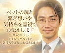 ペットの魂と繋ぎ想いや気持ちを霊視でお伝えします 今いるペット・亡くなったペットの気持ちを霊視でお伝えします イメージ1