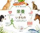 食事メニューの栄養レビューを作成します ヒト・ペットの食事内容の解説と必要に応じた改善案の提供 イメージ1