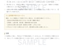 障害年金の申請　ご自身で進める道筋を書面にします 社労士が作成｜初診日の証明から申立書の骨組みまで イメージ5