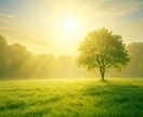 引寄せではない、本物の願望実現のやり方を伝授します "夢・願望が叶わない"から、叶う体質へと変わる時間をご提供 イメージ1