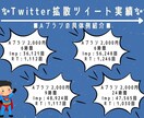 Twitter新規フォロワー獲得します 1,000RTまで拡散保証付＼ココナラ開設キャンペーン中／ イメージ3