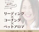 ペットの気持ちリーディングします ペットの本音・必要としてる事・心と感情のリーディング イメージ2
