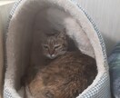 心の悩み相談します 人に言えないことや悩み等１人で抱え込んでいませんか？ イメージ2